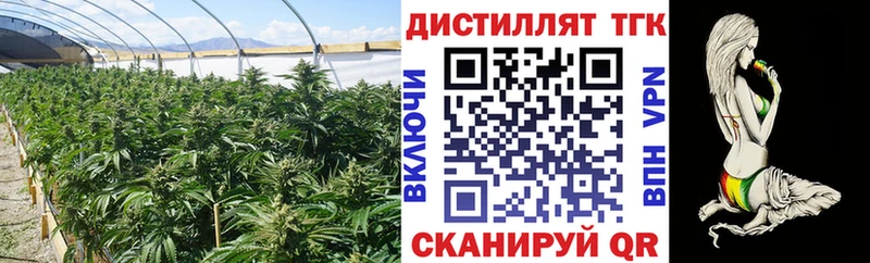 MEGA ТОР  сколько стоит  Луза  ТГК жижа 